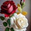 user768356022