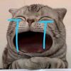 memcat
