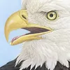 eaglelife10