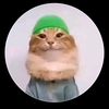 yasar.avsar49