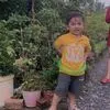 gia.ho078