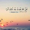 salaheldine05