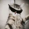 me_tinnnnnnnnn