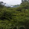 riswandisimamora3