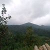 saptoraharyonugroho1