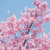 yoursky.isyou