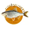 xvery_jelly_fishxma
