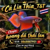 Cá Lia Thia_T&T🇻🇳