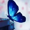 user4463249168690
