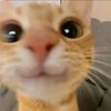 junheejoyuri0222