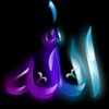 hamza3509hg