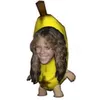 bananahetfield