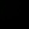 drydnz041