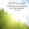 ciiltire.ahmed71