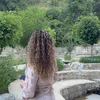 lailaa547
