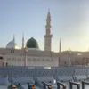 shafay8048
