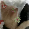 milkli_2.0