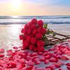 asma.mahamud96