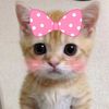 katia_172010