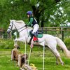 .croia.and.ponies