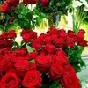 souad.saad7