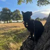 markythelondonkitten