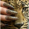 aseel99806