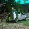 rafael.castillo341