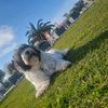 yumak.5255