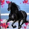 abdelkader.ouled0