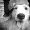 k1tty.loz12