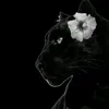 bel_almeidah