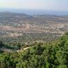 albrase.albarasi