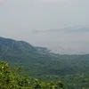 ortinero