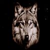 MindfulWolf