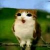 oozy_stoleyourtoast99