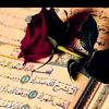 user5347042576003