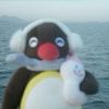 jing2wei