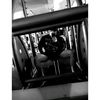 nico.ortz31