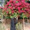 tabassumislam0631
