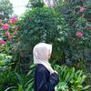 cimaa_cimut