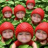 yannaphat34