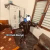 trieucaydzs1tg