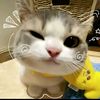 hilyaaja_05