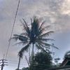 ulfa40041