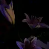 wi_wi_wi02