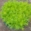 embesinhdoi3010