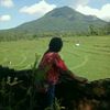 user82752123331167