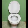 toilet_destroyer83