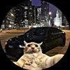 jurica_mlinaric13